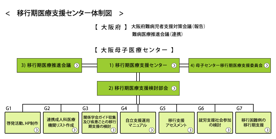 移行期医療支援センター体制図